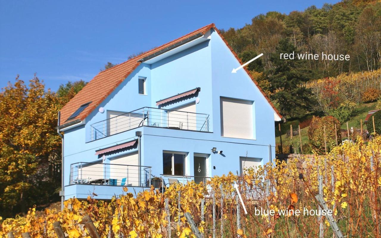 Janea Big Blue House Lejlighed Reichsfeld Eksteriør billede