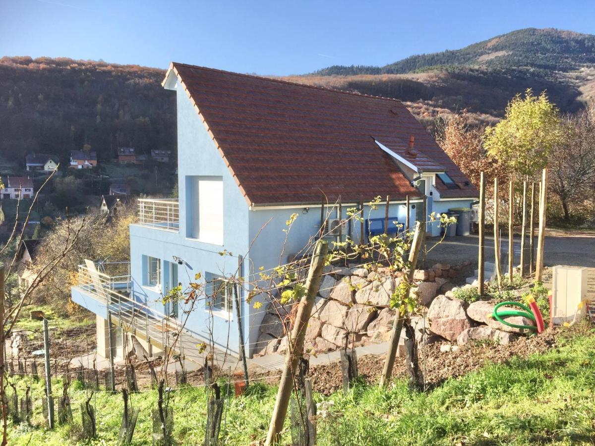 Janea Big Blue House Lejlighed Reichsfeld Eksteriør billede